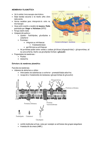 1
MEMBRANA PLASMÁTICA

• Só é visible ó microscopio electrónico
• Dúas bandas escuras e no medio unha clara
  máis ancha
• Varios modelos para interpreta-lo visto no
  microscopio
• Hoxe está vixente o modelo de mosaico fluído
  postulado por Singer e Nicholson (1972)
• Porque deste nome
• Composición química :
      • Lípidos : fosfolípidos, glicolípidos e
          colesterol
      • Proteínas :
               • integrais ou intrínsecas
                      • transmembranais
               • periféricas ou extrínsecas
      • As proteínas poden estar unidas a cadeas glicídicas (oligosacáridos) = glicoproteínas, só
          na cara externa. Xunto cos glicolípidos forman o glicocalix
• Propiedades da membrana :
      • Fluidez
      • Asimetría

Estrutura da membrana plasmática

Funcións da membrana
• Ademais de delimitara a célula :
       • intercambio de substancias co exterior : premeabilidade selectiva
       • recepción e transmisións de mensaxes, (glicoproteínas do glicocalix)




       • contén moléculas activas, como por exemplo os antíxenos dos grupos sanguíneos
       • transdución de sinais (AMPc)
 