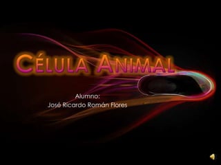 Célula Animal Alumno:  José Ricardo Román Flores 