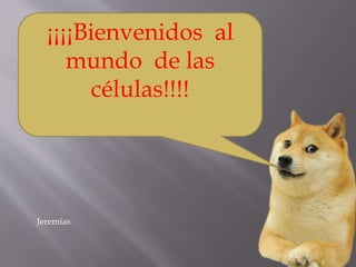 ¡¡¡¡Bienvenidos al
mundo de las
células!!!!
Jeremías