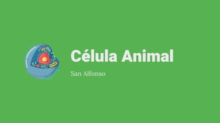 Célula Animal
San Alfonso
 