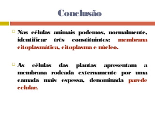 Conclusão 
 Nas células animais podemos, normalmente, 
identificar três constituintes: membrana 
citoplasmática, citoplasma e núcleo. 
 As células das plantas apresentam a 
membrana rodeada externamente por uma 
camada mais espessa, denominada parede 
celular. 
 