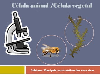 Célula animal / Célula vegetal 
Subtema: Principais características dos seres vivos 
 