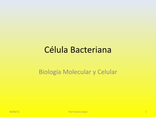 Célula Bacteriana

           Biología Molecular y Celular




30/08/12             Prof. Karina López   1
 