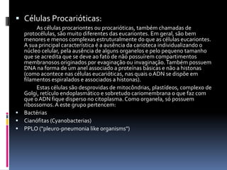  Células Procarióticas:
       As células procariontes ou procarióticas, também chamadas de
  protocélulas, são muito diferentes das eucariontes. Em geral, são bem
  menores e menos complexas estruturalmente do que as células eucariontes.
  A sua principal característica é a ausência da carioteca individualizando o
  núcleo celular, pela ausência de alguns organelos e pelo pequeno tamanho
  que se acredita que se deve ao fato de não possuírem compartimentos
  membranosos originados por evaginação ou invaginação. Também possuem
  DNA na forma de um anel associado a proteínas básicas e não a histonas
  (como acontece nas células eucarióticas, nas quais o ADN se dispõe em
  filamentos espiralados e associados a histonas).
       Estas células são desprovidas de mitocôndrias, plastídeos, complexo de
  Golgi, retículo endoplasmático e sobretudo cariomembrana o que faz com
  que o ADN fique disperso no citoplasma. Como organela, só possuem
  ribossomos. A este grupo pertencem:
 Bactérias
 Cianófitas (Cyanobacterias)
 PPLO ("pleuro-pneumonia like organisms")
 