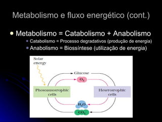 Metabolismo e fluxo energético (cont.) Metabolismo = Catabolismo + Anabolismo Catabolismo = Processo degradativos (produção de energia) Anabolismo = Biossíntese (utilização de energia) 
