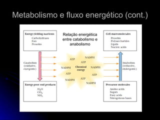 Metabolismo e fluxo energético (cont.) Relação energética entre catabolismo e anabolismo 