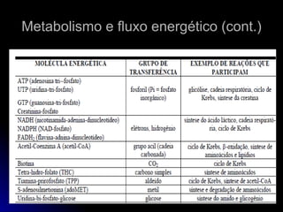 Metabolismo e fluxo energético (cont.) 
