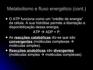 Metabolismo e fluxo energético (cont.) O ATP funciona como um “crédito de energia” da célula. A sua hidrólise permite a libertação e disponibilização dessa energia. ATP    ADP + P i As  reacções catabólicas  diz-se que são  convergentes  (moléculas complexas    moléculas simples). Reacções anabólicas  são  divergentes  (moléculas simples    moléculas complexas). 