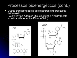 Processos bioenergéticos (cont.) Outros transportadores de electrõres em processos oxidativos: FAD +  (Flavina Adenina Dinucleótido) e NADP +  (Fosfo Nicotinamida Adenina Dinucleótido). FAD + NADP + 