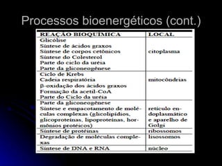 Processos bioenergéticos (cont.) 
