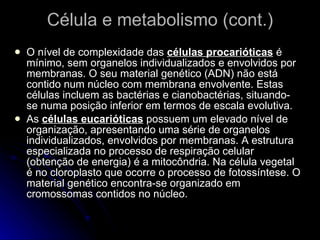 Célula e metabolismo (cont.) O nível de complexidade das  células procarióticas  é mínimo, sem organelos individualizados e envolvidos por membranas. O seu material genético (ADN) não está contido num núcleo com membrana envolvente. Estas células incluem as bactérias e cianobactérias, situando-se numa posição inferior em termos de escala evolutiva. As  células eucarióticas  possuem um elevado nível de organização, apresentando uma série de organelos individualizados, envolvidos por membranas. A estrutura especializada no processo de respiração celular (obtenção de energia) é a mitocôndria. Na célula vegetal é no cloroplasto que ocorre o processo de fotossíntese. O material genético encontra-se organizado em cromossomas contidos no núcleo. 