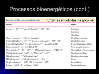 Processos bioenergéticos (cont.) Enzimas envolvidas na glicólise 