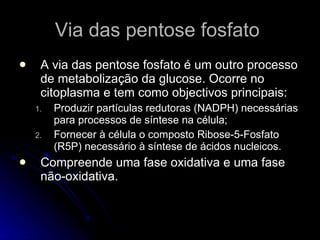 Via das pentose fosfato  A via das pentose fosfato é um outro processo de metabolização da glucose. Ocorre no citoplasma e tem como objectivos principais: Produzir partículas redutoras (NADPH) necessárias para processos de síntese na célula; Fornecer à célula o composto Ribose-5-Fosfato (R5P) necessário à síntese de ácidos nucleicos. Compreende uma fase oxidativa e uma fase não-oxidativa. 