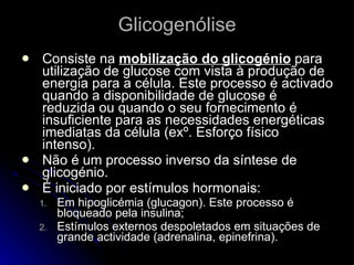Glicogenólise Consiste na  mobilização do glicogénio  para utilização de glucose com vista à produção de energia para a célula. Este processo é activado quando a disponibilidade de glucose é reduzida ou quando o seu fornecimento é insuficiente para as necessidades energéticas imediatas da célula (exº. Esforço físico intenso). Não é um processo inverso da síntese de glicogénio. É iniciado por estímulos hormonais: Em hipoglicémia (glucagon). Este processo é bloqueado pela insulina; Estímulos externos despoletados em situações de grande actividade (adrenalina, epinefrina). 