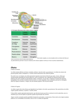 2. Principais diferenças entre célula animal e vegetal




                                                        Nos tecidos vegetais, as comunicações entre as células são feitas por
meio de estruturas denominadas plasmodesmos.
Os plasmodesmos permitem trocas de materiais entre células vegetais vizinhas por meio de pontes citoplasmáticas.




Outra
Células de Animais

As células animais diferem em forma e tamanho conforme o tipo de tecido a que pertencem. As células dos animais não
possuem parede celular, cloroplastos e o vacúolo central característicos das células de plantas.

De acordo com a sua função, uma célula apresentará organelas mais desenvolvidas do que outras. Assim, células que
secretam grande quantidade de enzimas digestivas, como as do pâncreas, têm o aparelho de Golgi bem desenvolvido.
Podemos citar outro exemplo de especialização celular, as hemácias, em que todo o citoplasma é tomado pelo pigmento
hemoglobina. Por este fato as hemácias não tem núcleo e as outras organelas. Como as hemácias precisam ser carregadas
dentro do líquido circulatório, o sangue, elas têm tamanho pequeno e são de forma redonda.



Células de Vegetais

As células vegetais têm várias formas que dependem de sua função e do tecido a que pertencem. São característicos da célula
vegetal a parede celulósica, os plastos, o vacúolo central.

Certas células vegetais apresentam glioxissomos, que são peroxissomos que têm as enzimas do ciclo do glioxilato, uma via
metabólica que converte lipídios em glicídios quando da germinação das sementes.

Alguns vacúolos acumulam grande quantidade de pigmentos arroxeados, as antocianinas. Deste modo certos órgãos da planta
podem ter cor avermelhada ou arroxeada, como as uvas e as folhas de trapoeraba.
 