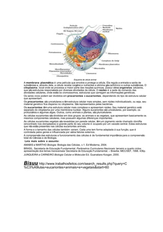 Esquema de célula animal
A membrana plasmática é uma película que envolve e protege a célula. Ela regula a entrada e saída de
substâncias e, através dela, a célula recebe oxigênio e nutrientes e elimina gás carbônico e outras substâncias. O
citoplasma , local onde se processa a maior parte das reações químicas, possui várias organelas celulares,
que são estruturas responsáveis por diversas atividades da célula. O núcleo é a sede de comando das
atividades celulares, onde estão os cromossomos, estruturas que carregam as informações genéticas.
Os seres vivos podem ser divididos em procariontes e eucariontes , dependendo do tipo de estrutura celular
que apresentam.
Os procariontes são unicelulares e têm estrutura celular mais simples, sem núcleo individualizado, ou seja, seu
material genético fica disperso no citoplasma. São representados pelas bactérias.
Os eucariontes têm uma estrutura celular mais complexa e apresentam núcleo. Seu material genético está
separado do citoplasma por uma membrana nuclear. Alguns eucariontes são unicelulares, por exemplo, os
protozoários e algumas algas. Outros, como animais e plantas, são pluricelulares
As células eucariontes são divididas em dois grupos: as animais e as vegetais, que apresentam basicamente os
mesmos componentes celulares, mas possuem algumas diferenças importantes.
As células eucariontes vegetais são revestidas por parede celular, têm um pigmento verde chamado clorofila
(encontrado nos cloroplastos) e grande parte do seu volume é ocupado por um vacúolo central. Estas estruturas
que não estão presentes nas células eucariontes animais.
A forma e o tamanho das células também variam. Cada uma tem forma adaptada à sua função, que é
controlada pelos genes e influenciada por vários fatores externos.
A compreensão das estruturas e funcionamento das células é de fundamental importância para a compreensão
total de Ciências e de Biologia.
 Leia mais sobre o assunto:
AMABIS e MARTHO Biologia: Biologia das Células, v.1. Ed Moderna, 2004.
BRASIL. Secretaria de Educação Fundamental. Parâmetros Curriculares Nacionais: terceiro e quarto ciclos:
apresentação dos temas transversais/ Secretaria de Educação Fundamental. – Brasília: MEC/SEF, 1998. 436p.
JUNQUEIRA e CARNEIRO Biologia Celular e Molecular.Ed. Guanabara Koogan, 2000.


Bisuu http://www.trabalhosfeitos.com/search_results.php?query=C
%C3%A9lulas+eucariontes+animais+e+vegetais&start=60
 