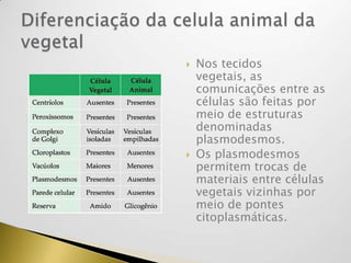  Nos tecidos
vegetais, as
comunicações entre as
células são feitas por
meio de estruturas
denominadas
plasmodesmos.
 Os plasmodesmos
permitem trocas de
materiais entre células
vegetais vizinhas por
meio de pontes
citoplasmáticas.
 
