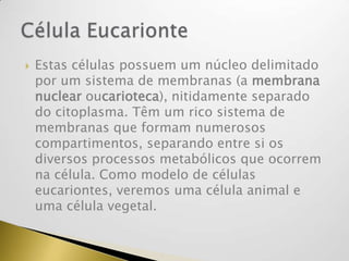 Estas células possuem um núcleo delimitado
por um sistema de membranas (a membrana
nuclear oucarioteca), nitidamente separado
do citoplasma. Têm um rico sistema de
membranas que formam numerosos
compartimentos, separando entre si os
diversos processos metabólicos que ocorrem
na célula. Como modelo de células
eucariontes, veremos uma célula animal e
uma célula vegetal.
 
