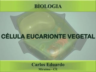 BIOLOGIA
Carlos Eduardo
Miraíma - CE
CÉLULA EUCARIONTE VEGETAL
 