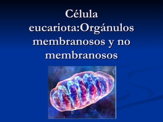 Célula eucariota:Orgánulos membranosos y no membranosos 