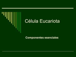 Célula Eucariota
Componentes esenciales
 