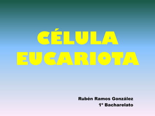 CÉLULA
EUCARIOTA
Rubén Ramos González
1º Bacharelato
 