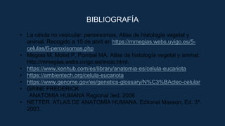 Célula eucariota. Organelos celulares.pptx