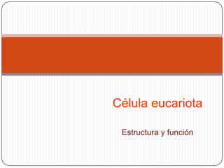 Célula eucariota

 Estructura y función
 