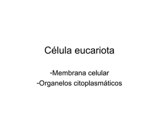 Célula eucariota

    -Membrana celular
-Organelos citoplasmáticos
 