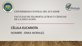 UNIVERSIDAD CENTRAL DEL ECUADOR
FACULTAD DE FILOSOFÍA LETRAS Y CIENCIAS
DE LA EDUCACIÓN.
CÉLULA EUCARIOTA
NOMBRE : ERIKA MORALES.
Orlando Chiluisa 2022
 