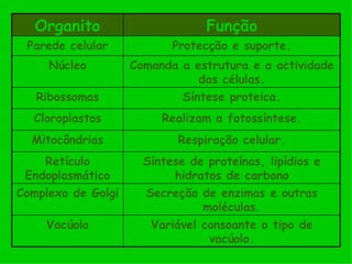Organito                      Função
 Parede celular            Protecção e suporte.
     Núcleo         Comanda a estrutura e a actividade
                               das células.
   Ribossomas               Síntese proteica.
  Cloroplastos           Realizam a fotossíntese.
  Mitocôndrias              Respiração celular.
    Retículo          Síntese de proteínas, lipídios e
 Endoplasmático            hidratos de carbono
Complexo de Golgi     Secreção de enzimas e outras
                                moléculas.
    Vacúolo            Variável consoante o tipo de
                                 vacúolo.
 