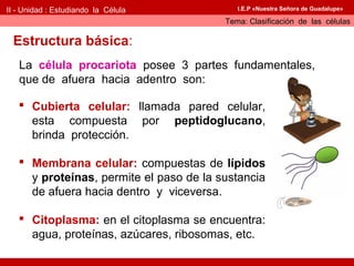 II - Unidad : Estudiando la Célula          I.E.P «Nuestra Señora de Guadalupe»

                                         Tema: Clasificación de las células

 Estructura básica:
   La célula procariota posee 3 partes fundamentales,
   que de afuera hacia adentro son:

    Cubierta celular: llamada pared celular,
     esta compuesta por peptidoglucano,
     brinda protección.

    Membrana celular: compuestas de lípidos
     y proteínas, permite el paso de la sustancia
     de afuera hacia dentro y viceversa.

    Citoplasma: en el citoplasma se encuentra:
     agua, proteínas, azúcares, ribosomas, etc.
 