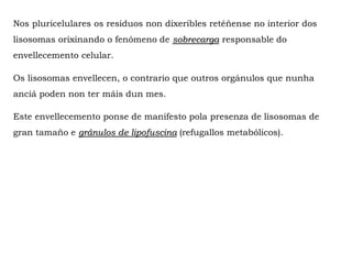 Nos pluricelulares os residuos non dixeribles retéñense no interior dos
lisosomas orixinando o fenómeno de sobrecarga responsable do
envellecemento celular.
Os lisosomas envellecen, o contrario que outros orgánulos que nunha
anciá poden non ter máis dun mes.
Este envellecemento ponse de manifesto pola presenza de lisosomas de
gran tamaño e gránulos de lipofuscina (refugallos metabólicos).
 