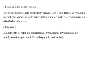  Funcións das mitocondrias :
Son as responsables da respiración celular , son , polo tanto, as “centrais
enerxéticas” encargadas de suministrar a maior parte da enerxía para as
actividades celulares.
 División :
Básicamente por dous mecanismos segmentación (invaxinación de
membranas) ou por partición (tabique e invaxinación).
 