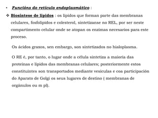  Biosíntese de lípidos : os lípidos que forman parte das membranas
celulares, fosfolípidos e colesterol, sintetízanse no REL, por ser neste
compartimento celular onde se atopan os enzimas necesarios para este
proceso.
Os ácidos graxos, sen embargo, son sintetizados no hialoplasma.
O RE é, por tanto, o lugar onde a célula sintetiza a maioría das
proteínas e lípidos das membranas celulares; posteriormente estos
constituíntes son transportados mediante vesículas e coa participación
do Aparato de Golgi os seus lugares de destino ( membranas de
orgánulos ou m pl).
• Funcións do retículo endoplasmático :
 