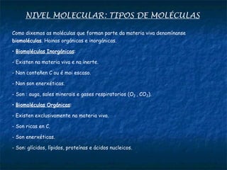 NIVEL MOLECULAR: TIPOS DE MOLÉCULAS
Como dixemos as moléculas que forman parte da materia viva denomínanse
biomoléculas. Hainas orgánicas e inorgánicas.
• Biomoléculas Inorgánicas:
- Existen na materia viva e na inerte.
- Non conteñen C ou é moi escaso.
- Non son enerxéticas.
- Son : auga, sales minerais e gases respiratorios (O2 , CO2).
• Biomoléculas Orgánicas:
- Existen exclusivamente na materia viva.
- Son ricas en C.
- Son enerxéticas.
- Son: glícidos, lípidos, proteínas e ácidos nucleicos.
 