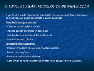 3. NIVEL CELULAR: MODELOS DE ORGANIZACIÓN
A partir disto a diferenciación máis básica das células establece dous niveis
de organización: célula procariota e célula eucariota.
Características procariotas:
• Carecen de verdadeiro núcleo.
• Apenas posúen orgánulos (ribosomas)
• Son bacterias e similares. Reino Moneras.
• Unicelulares ou colonias.
Características eucariotas:
• Posúen verdadeiro núcleo, con envoltura nuclear.
• Numerosos orgánulos.
• Poden ser uni ou pluricelulares.
• Conforman os reinos restantes: Protoctista, fungo, vexetal e animal.
 