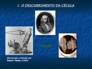 1. O DESCUBRIMENTO DA CÉLULA
Microscopio utilizado por
Robert Hooke (1665)
 