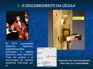 1. O DESCUBRIMENTO DA CÉLULA
En 1674 Leuwenhoek
observou hematías,
espermatozoides,
protozoos e mesmo
describiu unha bacteria.
Todo elo grazas a un
microscopio de maiores
aumentos fabricado por
él.
Esquemas dos microorganismos
obsevados por Leeuwenhoek
 