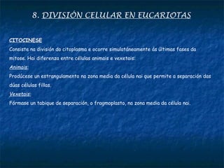 8. DIVISIÓN CELULAR EN EUCARIOTAS
CITOCINESE
Consiste na división do citoplasma e ocorre simulatáneamente ás últimas fases da
mitose. Hai diferenza entre células animais e vexetais:
Animais:
Prodúcese un estrangulamento na zona media da célula nai que permite a separación das
dúas células fillas.
Vexetais:
Fórmase un tabique de separación, o fragmoplasto, na zona media da célula nai.
 