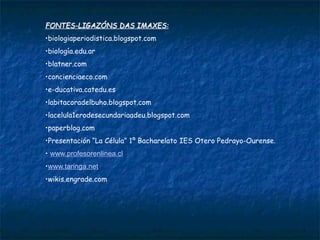 Ciclo diplohaplonte
En plantas e en
algunhas algas
e fungos
Gametos (n)
HAPLOIDE
DIPLOIDE
Fecundación
Meiose
Esporas (n)
Cigoto
(2n)
(n)
(2n)
 