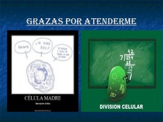 Grazas por atenderme
 