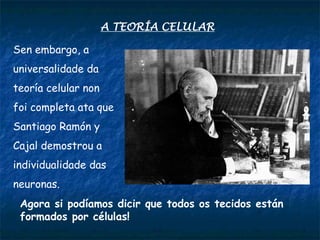 A TEORÍA CELULAR
Sen embargo, a
universalidade da
teoría celular non
foi completa ata que
Santiago Ramón y
Cajal demostrou a
individualidade das
neuronas.
Agora si podíamos dicir que todos os tecidos están
formados por células!
 