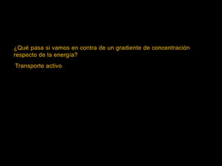 ¿Qué pasa si vamos en contra de un gradiente de concentración
respecto de la energía?
Transporte activo
 