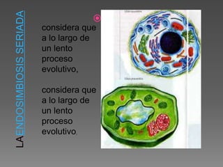 considera que
a lo largo de
un lento
proceso
evolutivo,
considera que
a lo largo de
un lento
proceso
evolutivo,

 