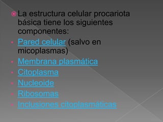  La estructura celular procariota
básica tiene los siguientes
componentes:
• Pared celular (salvo en
micoplasmas)
• Membrana plasmática
• Citoplasma
• Nucleoide
• Ribosomas
• Inclusiones citoplasmáticas
 