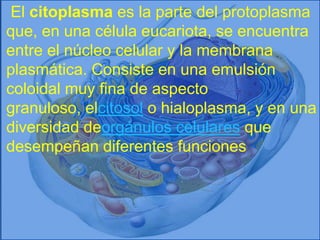 El citoplasma es la parte del protoplasma
que, en una célula eucariota, se encuentra
entre el núcleo celular y la membrana
plasmática. Consiste en una emulsión
coloidal muy fina de aspecto
granuloso, elcitosol o hialoplasma, y en una
diversidad deorgánulos celulares que
desempeñan diferentes funciones
 