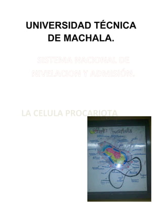 UNIVERSIDAD TÉCNICA
DE MACHALA.
LA CELULA PROCARIOTA
 