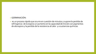 • GERMINACIÓN:
• es un proceso rápido que ocurre en cuestión de minutos y supone la perdida de
refringencia de la espora un aumento en la capacidad de tinción con pigmentos
de ala espora y la perdida de la resistencia al calor y a sustancias químicas
 