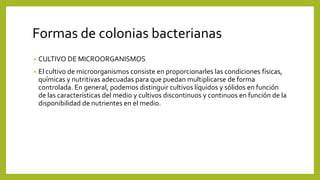 Formas de colonias bacterianas
• CULTIVO DE MICROORGANISMOS
• El cultivo de microorganismos consiste en proporcionarles las condiciones físicas,
químicas y nutritivas adecuadas para que puedan multiplicarse de forma
controlada. En general, podemos distinguir cultivos líquidos y sólidos en función
de las características del medio y cultivos discontinuos y continuos en función de la
disponibilidad de nutrientes en el medio.
 